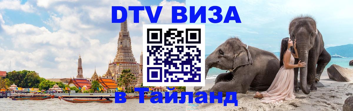 Оформление DTV визы под ключ: стоимость и тарифы, только загранпаспорт - Тирана 